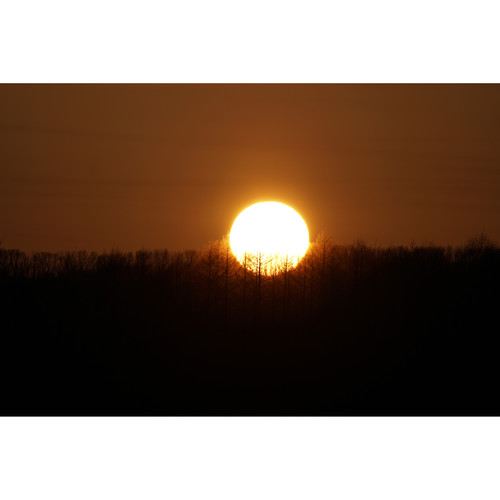 Sony FE 100-400mm f/4.5-5.6 GM OSS Lens | AsiaCameras.com Sony FE 100-400mm f/4.5-5.6 GM OSS Lens - Image 33