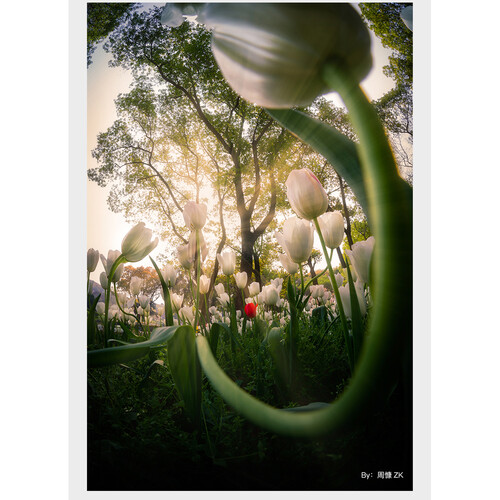 TTArtisan 11mm f/2.8 Lens for Nikon F | AsiaCameras.com TTArtisan 11mm f/2.8 Lens for Nikon F - Image 25
